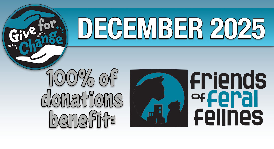 Give for Change December 2025