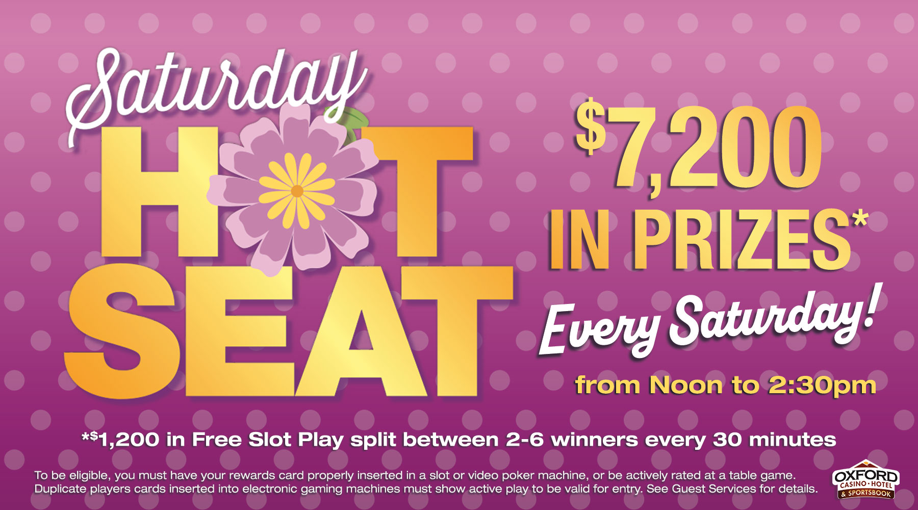 1800×1000-Spring-Hot-Seat